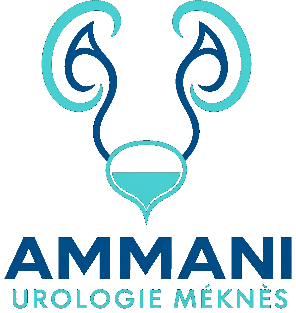 AMMANI Urologie Meknès