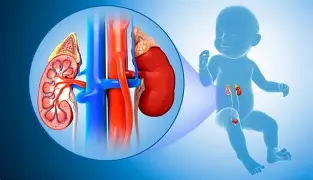 Urologie pédiatrique